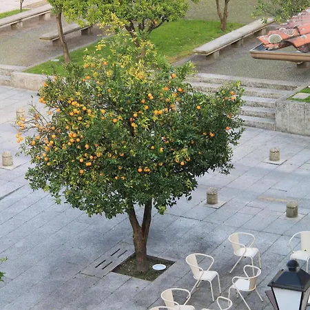 Bed & Breakfast O Laranjal Guimaraes