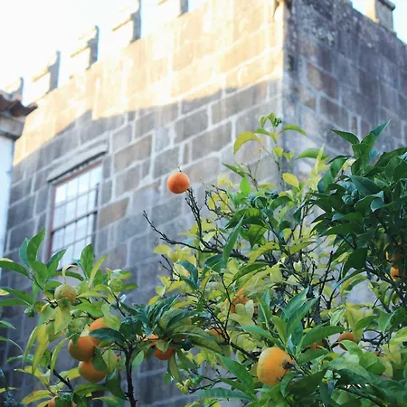 O Laranjal Guimarães