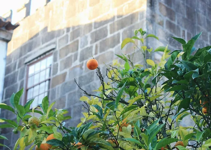 O Laranjal Guimarães